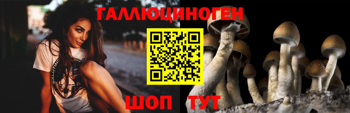 Лабинск  Галлюциногенные грибы Psilocybine cubensis  Вход с VPN  Галлюциногенные грибы мухоморы 